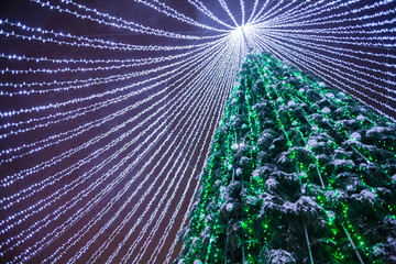 Christmas tree with decoration installed in Vilnius Cathedral Square in Lithuania at night