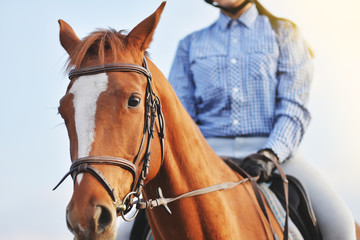 Fototapeta premium Girl jockey riding a horse