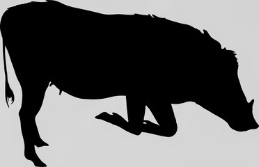 Hand drawn silhouette of a wild warthog - Illustration, black isolated on white background