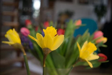 Foto op Canvas Daffodil flower on a table. Slovakia © Valeria