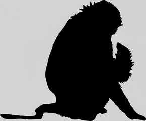Hand drawn silhouette of a wild baboon - Illustration, black isolated on white background
