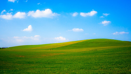 Obraz premium Collina primaverile