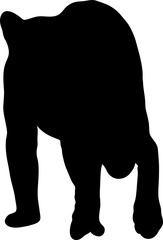 Hand drawn silhouette of a wild Cheetah - Illustration, black isolated on white background