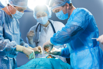 Attentive doctors working with tools