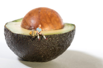 Single female wanderer resting on an avocado - miniature model