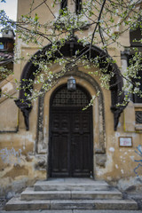 Spring in Bucharest - old historic building with cherry tree flowers in focus.