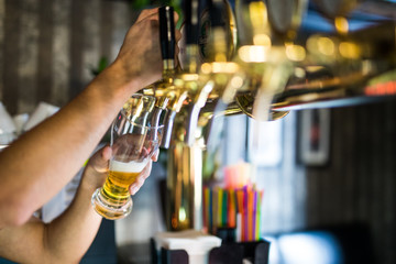 barman hand at beer tap pouring a draught lager beer serving in a restaurant or pub.