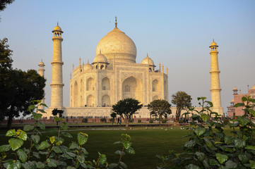 Fototapeta na wymiar Indien - Agra - Taj Mahal