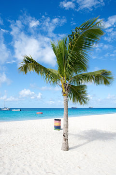 Bridgetown, Barbados - Tropical island - Caribbean sea - Brownes beach - Carlisle bay