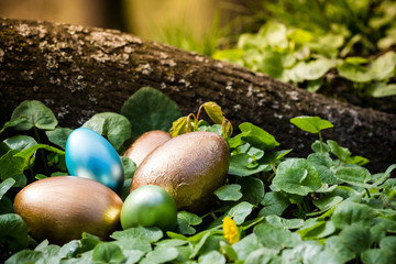 Colorful easter eggs hidden behind a wooden log