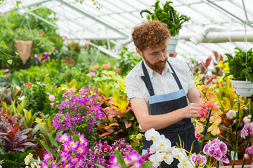 Male florist posing at his greenhouse