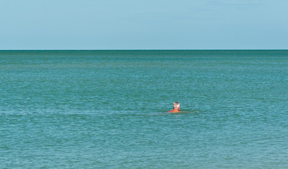 Senior man swimming and relaxing in the warm tropical waters of the Gulf of Mexico