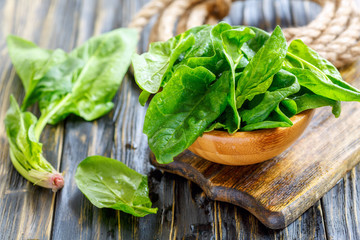 Fresh spinach in a drop of water.
