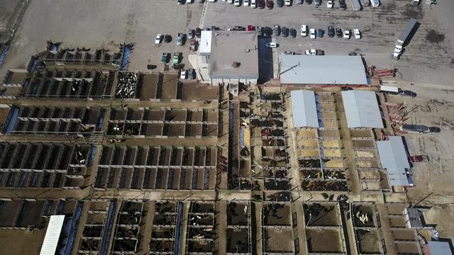 Aerial rural auction livestock cattle facility pull back fast. Intermountain West facility to buy and sell animals. Holding pens, feed lot, loading chutes and farm ranch trucks and vehicle transport.