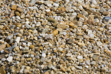 Texture with lot of pebble stone in sunlight, stone background - smaller variation