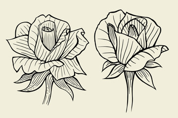 flower set of rose