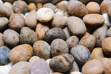 Fototapeta na wymiar Abstract background with dry round reeble stones