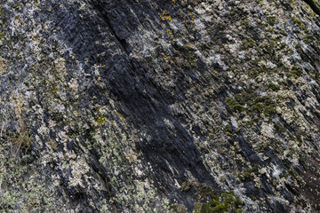 Rough stone with moss texture