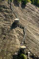 wooden stairs up the hill  