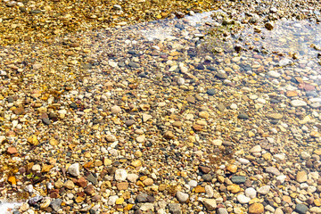The bottom of colored pebbles in a shallow puddle.