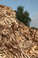 Huge pile of wood waste 