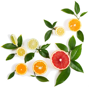  Set of different citrus fruits