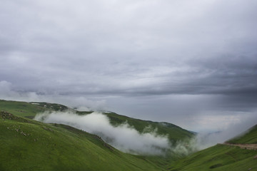 Caucasus. Chechnya