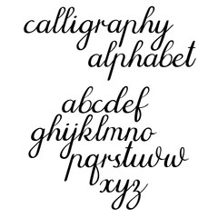 Calligraphic vector alphabet. Hand lettering font, handwritten letters. Vector illustration. Isolated on white background.