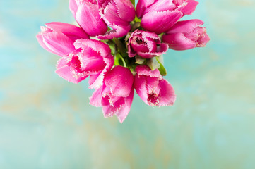 Fototapeta na wymiar Pink tulips on turquoise abstract background. Pink tulip. Tulips. Flowers. Flower background. Flowers photo concept. Holidays photo concept. Copyspace
