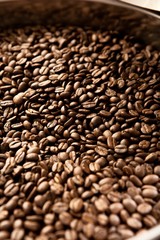 coffee bean