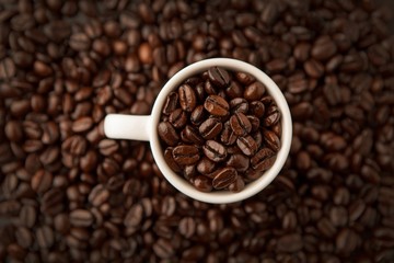 coffee bean, 커피콩