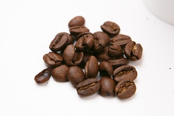coffee bean, 커피콩