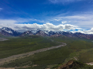Obraz premium Denali National Park