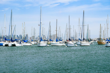 A bunch of Yacht parked in San Diego bay California