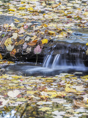 Waterfall in forest in autumn