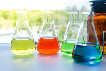 Laboratory glassware with colorful liquids for chemical experimental in laboratory