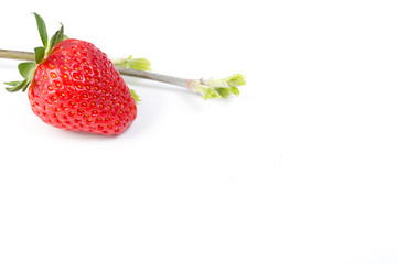 Ripe strawberry on white background.