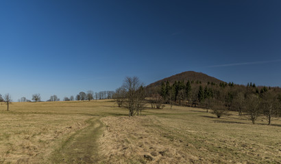 Blue sky day in national park