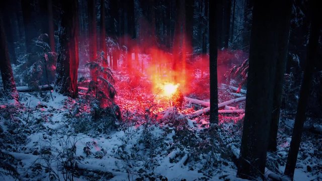 Person Walks Through Snowy Wilderness With Flare