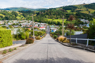 Fototapeta na wymiar View from the top of the worlds steepest street