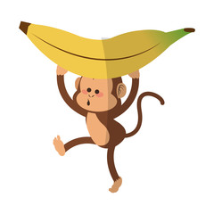 Monkey holding a banana,  cartoon icon over white background. colorful design. vector illustration