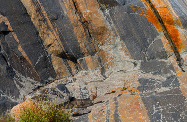 Lichen and moss on gneiss rock