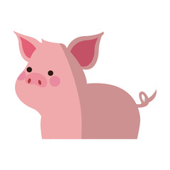 cute pig animal, cartoon icon over white background. colorful design. vector illustration