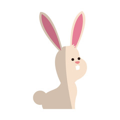 cute bunny animal, cartoon icon over white background. colorful design. vector illustration