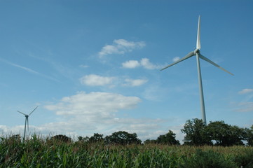 Éoliennes dans champ sous ciel bleu 