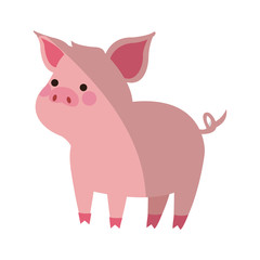 cute pig animal, cartoon icon over white background. colorful design. vector illustration