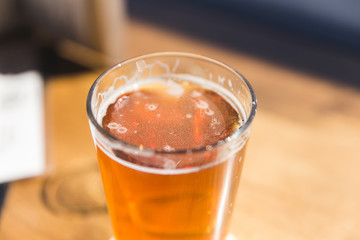 Fresh Pint of Beer in Sunlight