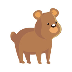 cute bear animal, cartoon icon over white background. colorful design. vector illustration