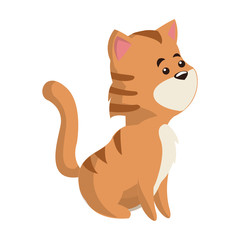 cute cat animal, cartoon icon over white background. colorful design. vector illustration