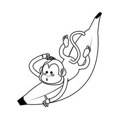 Monkey playing with a banana,  cartoon icon over white background. vector illustration